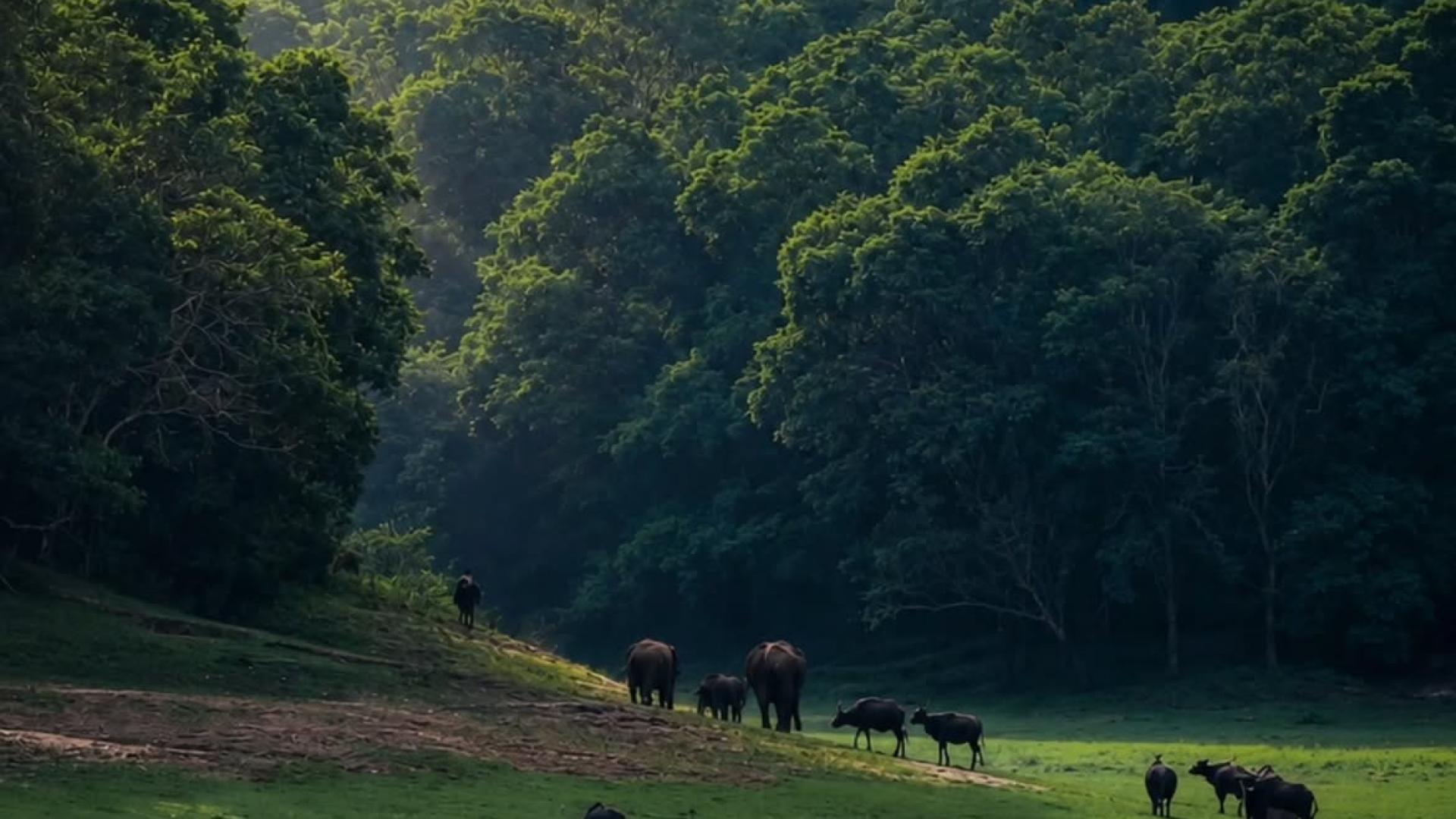 Kochi-Munnar-Thekkady-Tour Packages