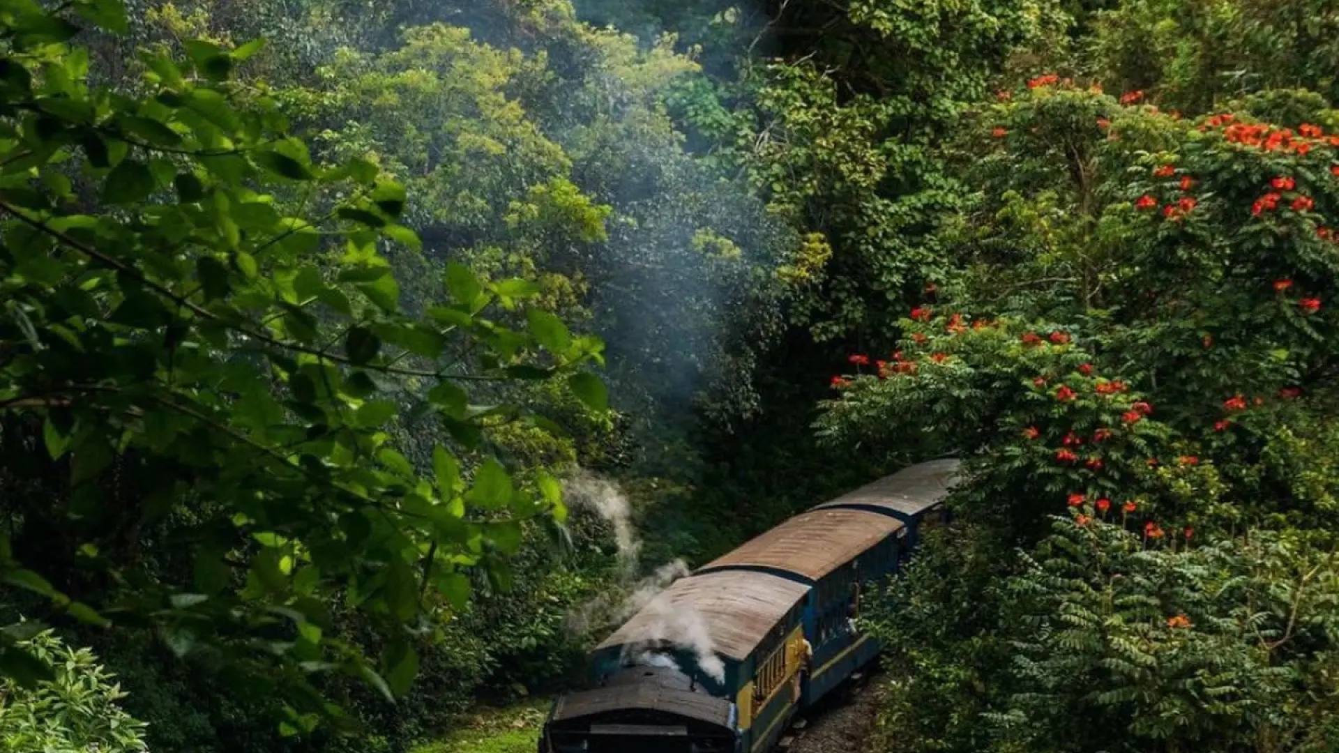 Ooty Tour Packages